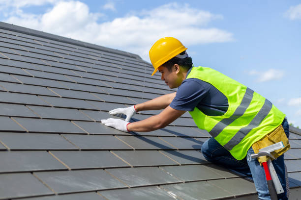 Best Roof Moss and Algae Removal  in Lewiston, UT